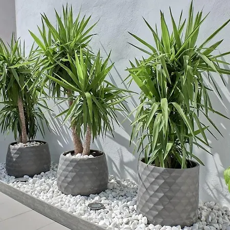 Sunny Cozy Penthouse With A Terrace At Plaza Del Carmen * 발렌시아