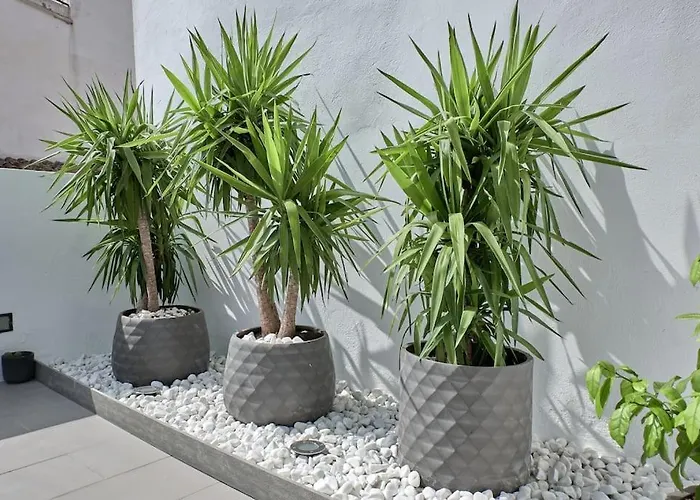Sunny Cozy Penthouse With A Terrace At Plaza Del Carmen * Βαλένθια